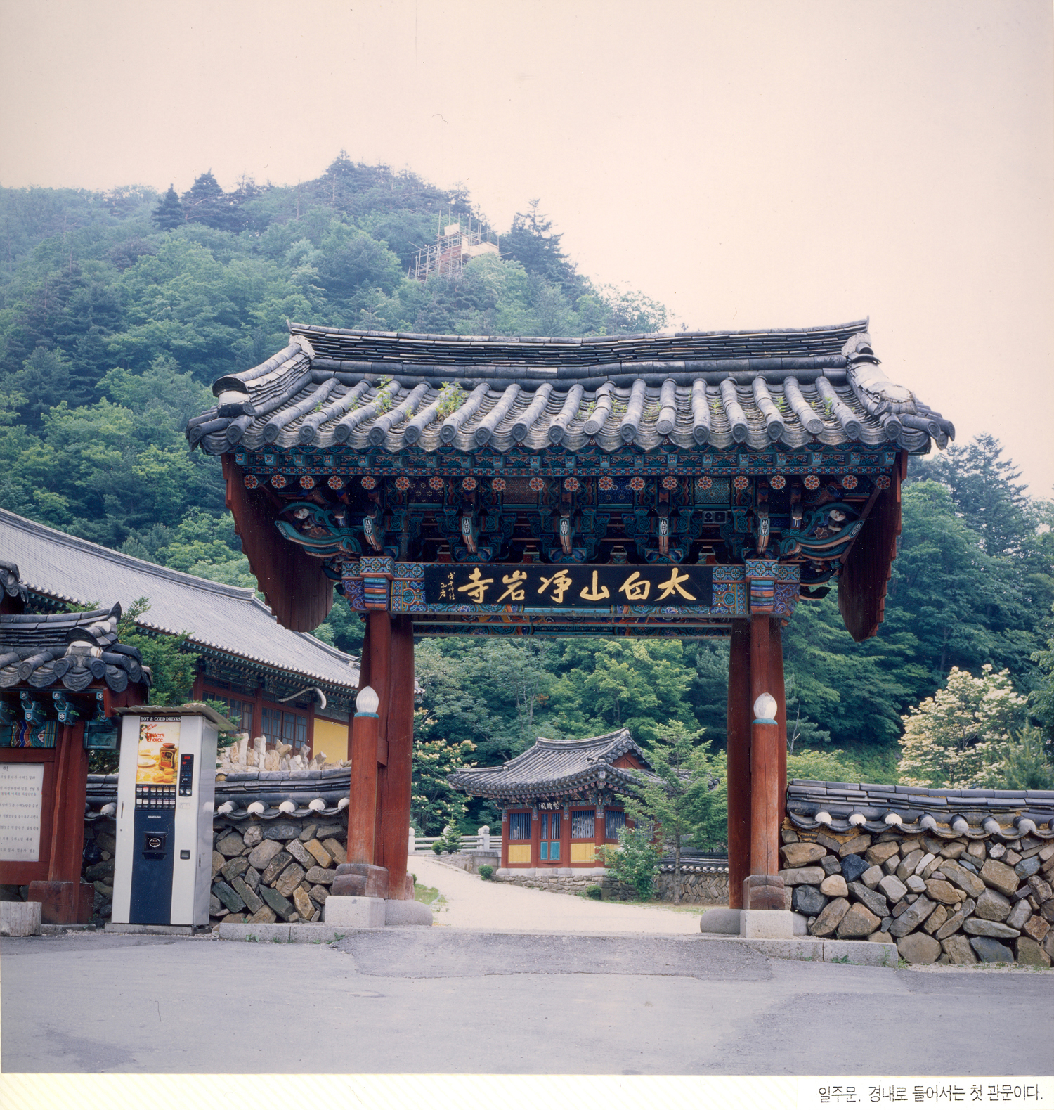 고한읍지 등재 사진30 